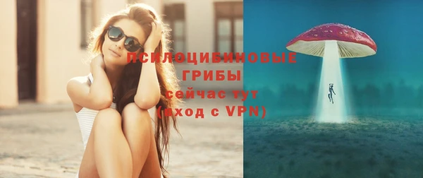 не бодяженный Гусиноозёрск