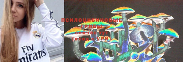 мдма Горнозаводск